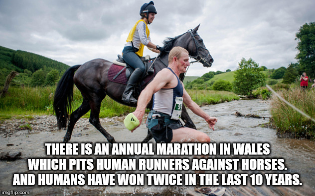 running horse with men - There Is An Annual Marathon In Wales Which Pits Human Runners Against Horses. And Humans Have Won Twice In The Last 10 Years. imgflip.com