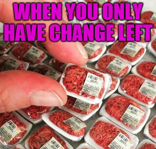 When You Only Have Change Left imgflip.com