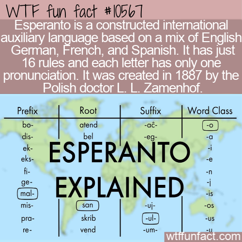 angle - Wtf fun fact Esperanto is a constructed international auxiliary language based on a mix of English German, French, and Spanish. It has just 16 rules and each letter has only one pronunciation. It was created in 1887 Polish doctor L. L. Zamenhof. P