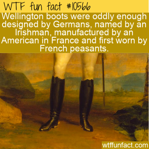 poster - Wtf fun fact Wellington boots were oddly enough designed by Germans, named by an Irishman, manufactured by an American in France and first worn by French peasants. wtffunfact.com