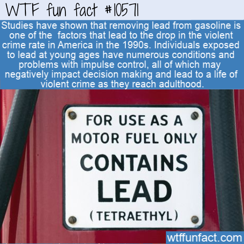 banner - Wtf fun fact Studies have shown that removing lead from gasoline is one of the factors that lead to the drop in the violent crime rate in America in the 1990s. Individuals exposed to lead at young ages have numerous conditions and problems with i