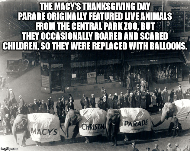 first macy's thanksgiving day parade - The Macy'S Thanksgiving Day Parade Originally Featured Live Animals From The Central Park Zoo, But They Occasionally Roared And Scared Children, So They Were Replaced With Balloons. Ysters Steartea Stone Christmas Pa