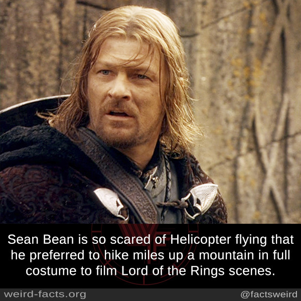 lotr sean bean meme - Sean Bean is so scared of Helicopter flying that he preferred to hike miles up a mountain in full costume to film Lord of the Rings scenes. weirdfacts.org