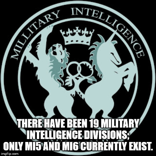 animal - 1 Intel Alligence Millitad There Have Been 19 Military Intelligence Divisions Only Mis And MI6 Currently Exist. imgflip.com