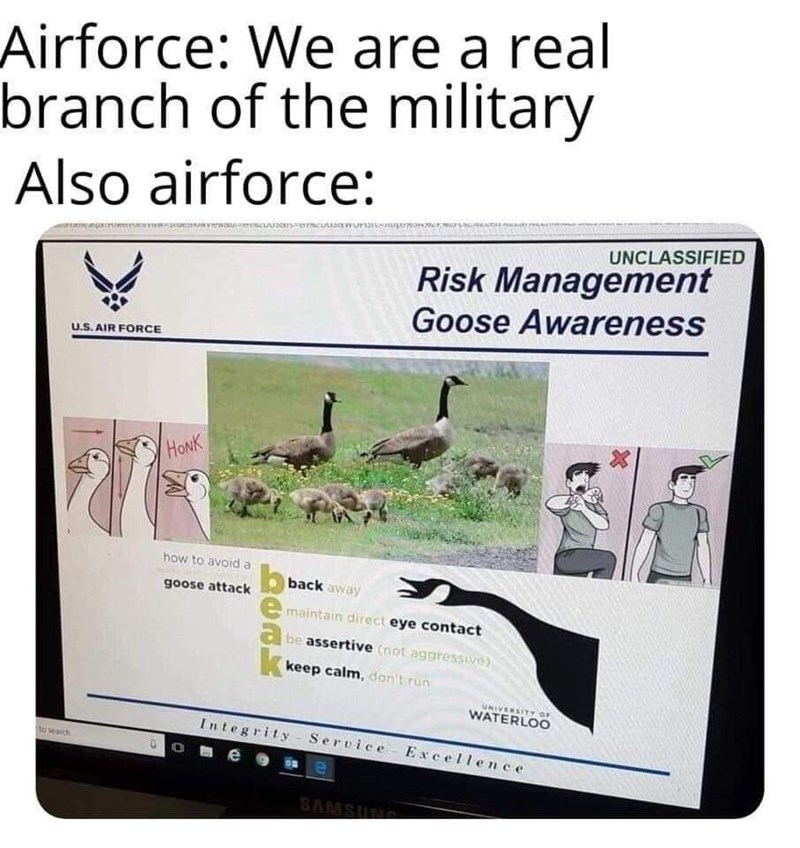 air force goose meme - Airforce We are a real branch of the military Also airforce Industry Unclassified Risk Management Goose Awareness U.S. Air Force Honk how to avoid a goose attack back away maintain direct eye contact be assertive not aggresswe keep 