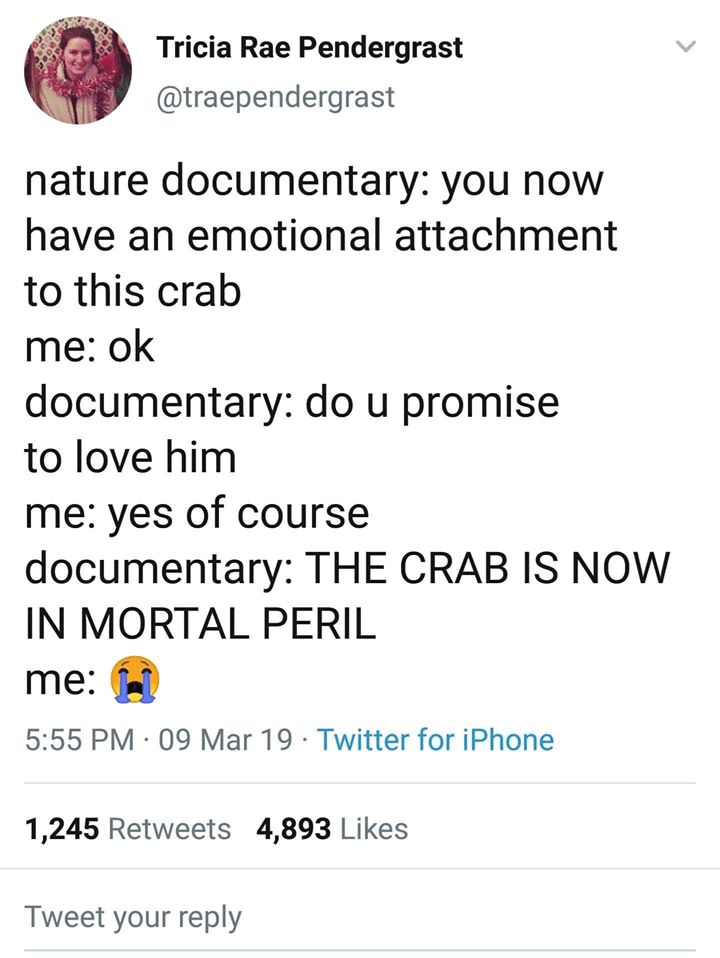 document - Tricia Rae Pendergrast nature documentary you now have an emotional attachment to this crab me ok documentary do u promise to love him me yes of course documentary The Crab Is Now In Mortal Peril me 09 Mar 19. Twitter for iPhone 1,245 4,893 Twe
