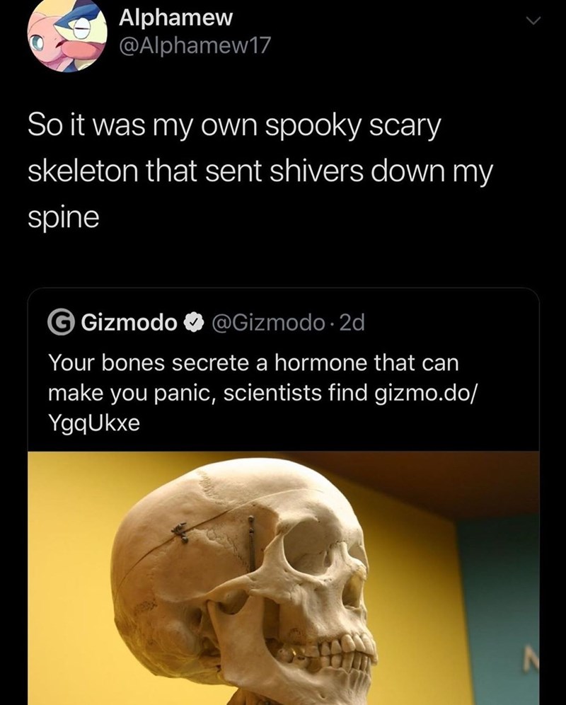 my spooky scary skeleton that sent shivers down my spine - Alphamew So it was my own spooky scary skeleton that sent shivers down my spine G Gizmodo . 2d Your bones secrete a hormone that can make you panic, scientists find gizmo.do YgqUkxe