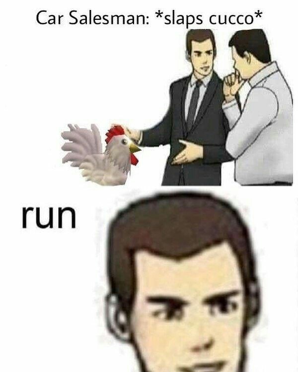 car salesman bear meme - Car Salesman slaps cucco run