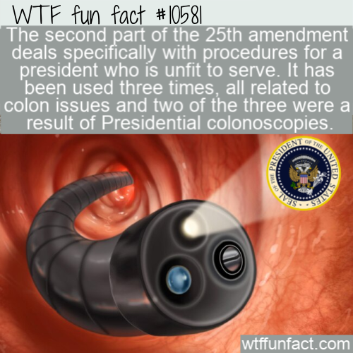 orange - Wtf fun fact The second part of the 25th amendment deals specifically with procedures for a president who is unfit to serve. It has been used three times, all related to colon issues and two of the three were a result of Presidential colonoscopie