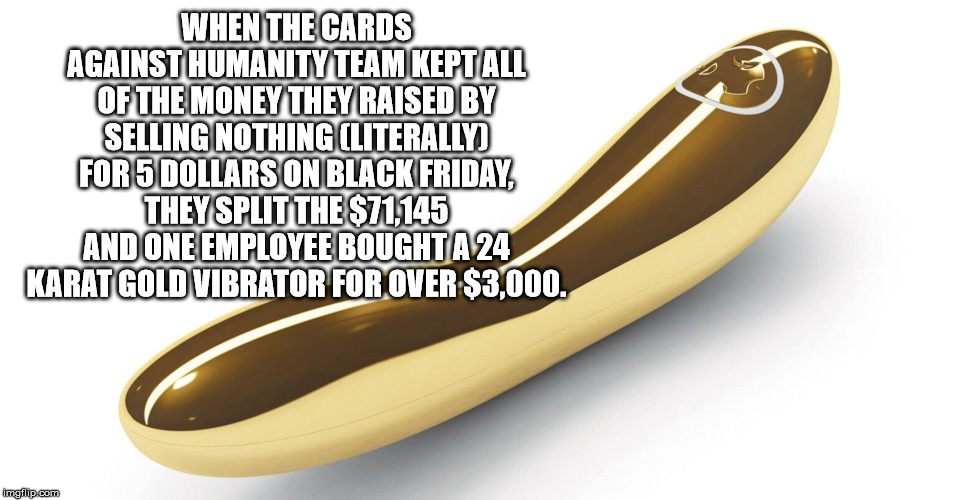 humanist party of solidarity - When The Cards Against Humanity Team Keptall Of The Money They Raised By Selling Nothing Literally For 5 Dollars On Black Friday They Split The $71145 And One Employee BOUGHTA24 Karat Gold Vibrator For Over $3,000. imgilip.c