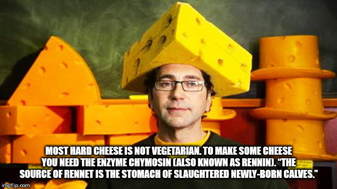 cheesehead meme - Most Hard Cheese Is Not Vegetarian. To Make Some Cheese You Need The Enzyme Chymosin Also Known As Rennin. "The Source Of Rennet Is The Stomach Of Slaughtered NewlyBorn Calves." imgflip.com