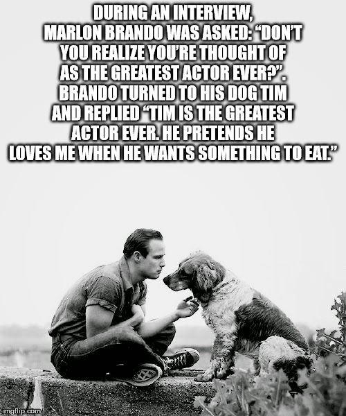 annoying facebook girl meme - During An Interview, Marlon Brando Was Asked "Dont You Realize You'Re Thought Of As The Greatest Actor Everp". Brando Turned To His Dog Tim And Replied 'Tim Is The Greatest Actor Ever. He Pretends He Loves Me When He Wants So