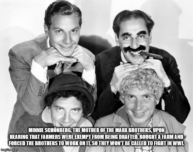 marx brothers - Minnie Schonberg, The Mother Of The Marx Brothers. Upon Hearing That Farmers Were Exempt From Being Drafted, Bought A Farm And Forced The Brothers To Work On It, So They Wont Be Called To Fight In Wwl imgflip.com Win