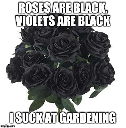 dove in a soapless place - Roses Are Black Violets Are Black Isuckat Gardening imgflip.com