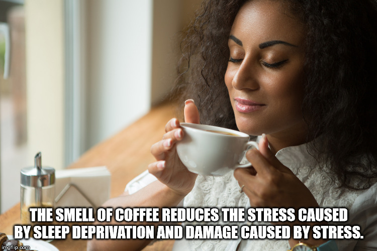 Coffee - The Smell Of Coffee Reduces The Stress Caused By Sleep Deprivation And Damage Caused By Stress. imgflip.com