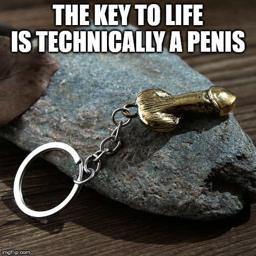 silver - The Key To Life Is Technically A Penis imgflip.com