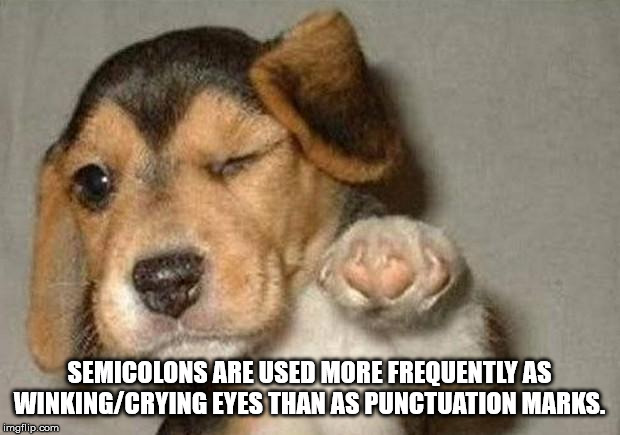good luck puppy - Semicolons Are Used More Frequently As WinkingCrying Eyes Than As Punctuation Marks. imgflip.com