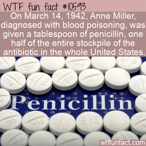 pill - Wtf fun fact On , Anne Miller, diagnosed with blood poisoning, was given a tablespoon of penicillin, one half of the entire stockpile of the antibiotic in the whole United States. 250 250 Penicillin wtffunfact.com