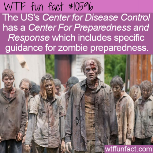 walking dead zombies - Wtf fun fact The Us's Center for Disease Control has a Center For Preparedness and Response which includes specific guidance for zombie preparedness, wtffunfact.com