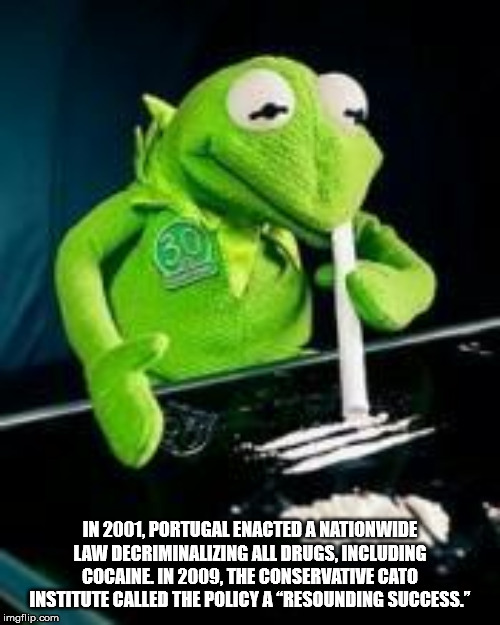 kermit dead - In 2001, Portugal Enacted A Nationwide Law Decriminalizing All Drugs, Including Cocaine In 2009, The Conservative Cato Institute Called The Policy A Resounding Success." imgflip.com