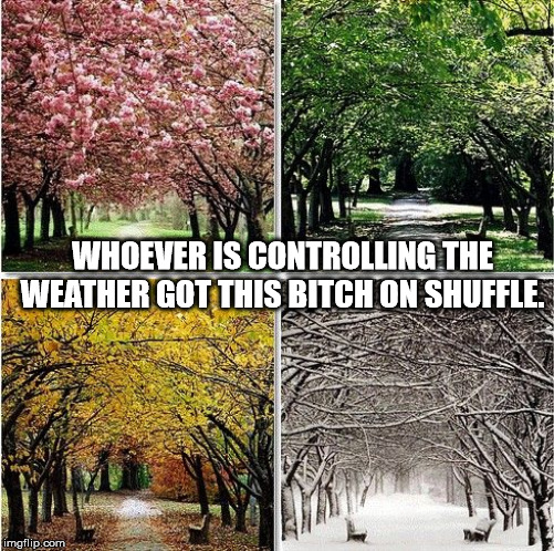 different seasons of the year - Whoever Is Controlling The Weather Got This Bitch On Shuffle. imgflip.com