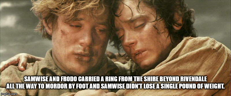 math memes - Samwise And Frodo Carried A Ring From The Shire Beyond Rivendale All The Way To Mordor By Foot And Samwise Didnt Lose A Single Pound Of Weight imgflip.com