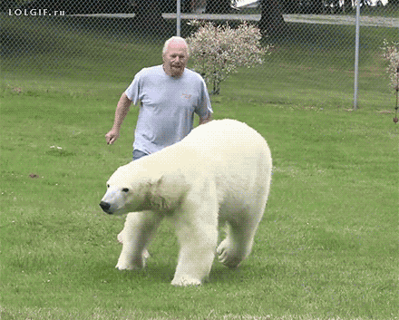 Moving Image Mayhem; Animal Edition