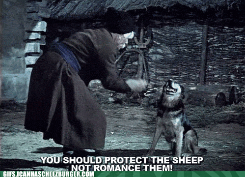 Moving Image Mayhem; Animal Edition