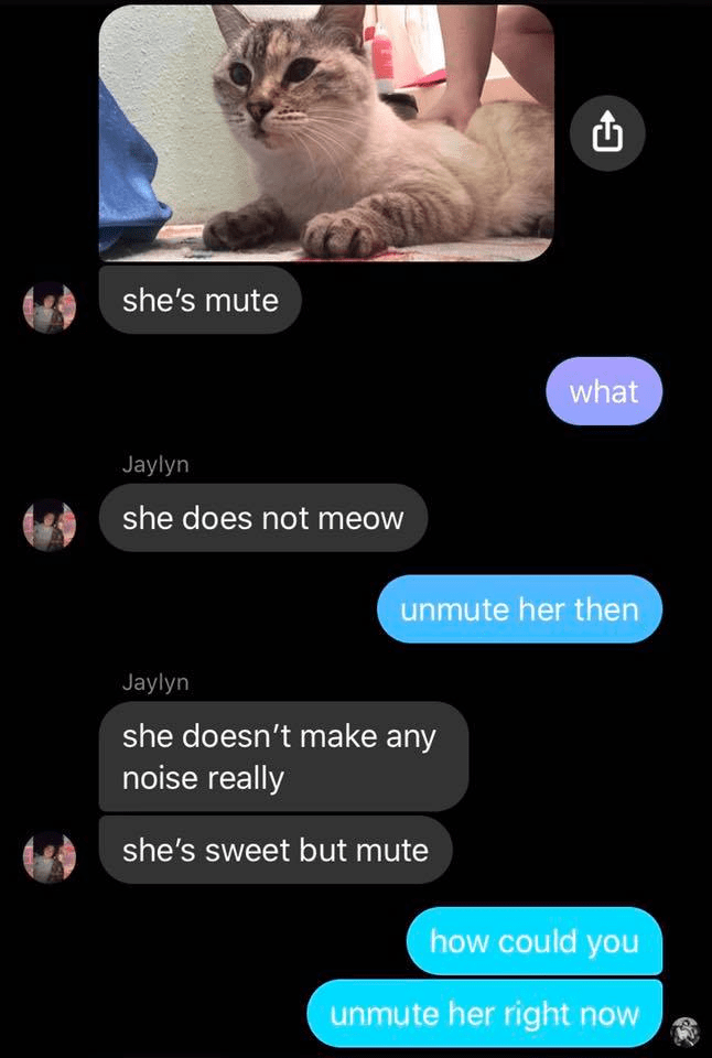 photo caption - she's mute what Jaylyn she does not meow unmute her then Jaylyn she doesn't make any noise really she's sweet but mute how could you unmute her right now