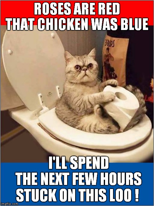 photo caption - Roses Are Red That Chicken Was Blue I'Ll Spend The Next Few Hours Stuck On This Loo! imgflip.com