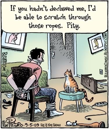 declawed cat cartoon - If you hadn't declawed me, I'd be able to scratch through those ropes. Pity. BizarrO.Com Wu Bizarrocomic.Blogspot.Com ban tiraro.9.5.09 Dist. 4 King Features