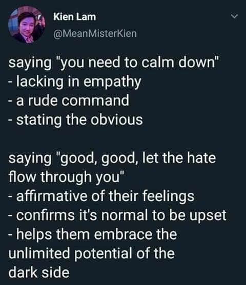 calm down let the hate flow meme - Kien Lam Misterkien saying "you need to calm down" lacking in empathy a rude command stating the obvious saying "good, good, let the hate flow through you" affirmative of their feelings confirms it's normal to be upset h