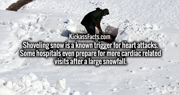 montana snow storm - KickassFacts.com Shoveling snow is a known trigger for heart attacks. Some hospitals even prepare for more cardiac related visits after a large snowfall.