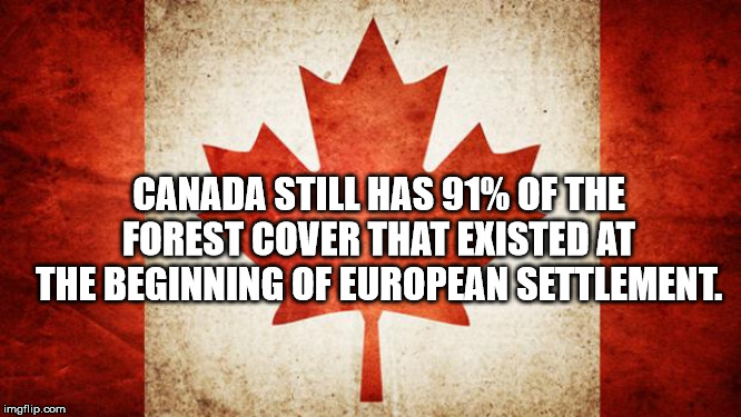 graphics - Canada Still Has 91% Of The Forest Cover That Existed At The Beginning Of European Settlement. imgflip.com