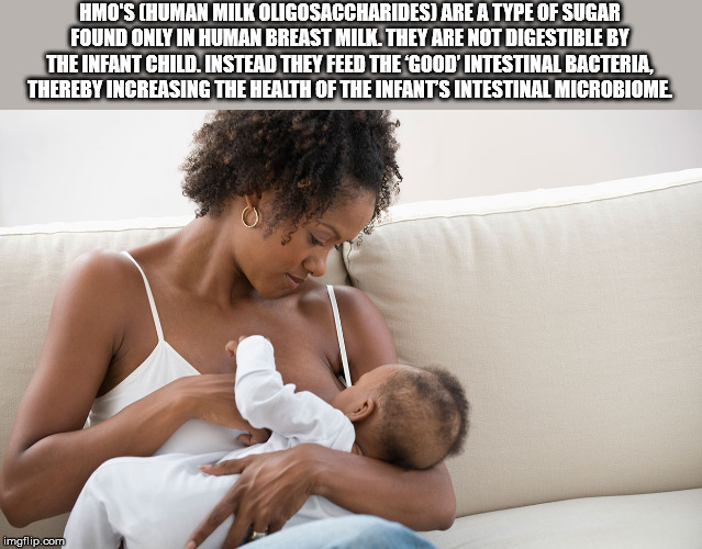mum breast feeding - Hmo'S Human Milk Oligosaccharides Are A Type Of Sugar Found Only In Human Breast Milk. They Are Not Digestible By The Infant Child. Instead They Feed The Good' Intestinal Bacteria, Thereby Increasing The Health Of The Infant'S Intesti