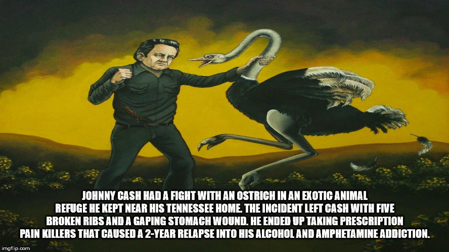 poster - Johnny Cash Had A Fight With An Ostrich In An Exotic Animal Refuge He Kept Near His Tennessee Home. The Incident Left Cash With Five Broken Ribs And A Gaping Stomach Wound. He Ended Up Taking Prescription Pain Killers That Caused A 2Year Relapse 
