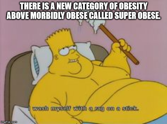 funny simpsons - There Is A New Category Of Obesity Above Morbidly Obese Called Super Obese. wash my with a stick imgflip.com