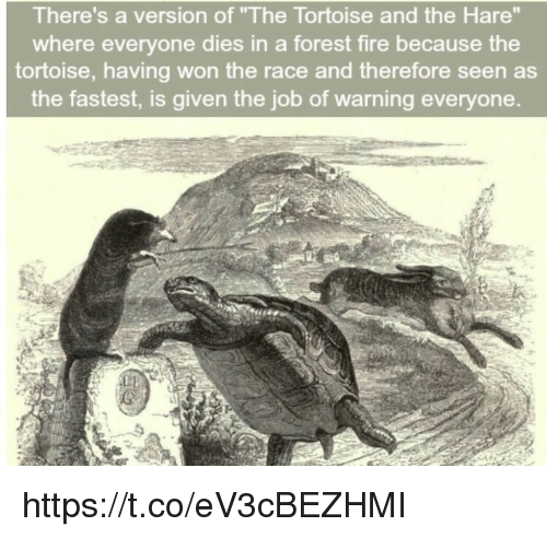 hare and tortoise illustrations - There's a version of "The Tortoise and the Hare" where everyone dies in a forest fire because the tortoise, having won the race and therefore seen as the fastest, is given the job of warning everyone.