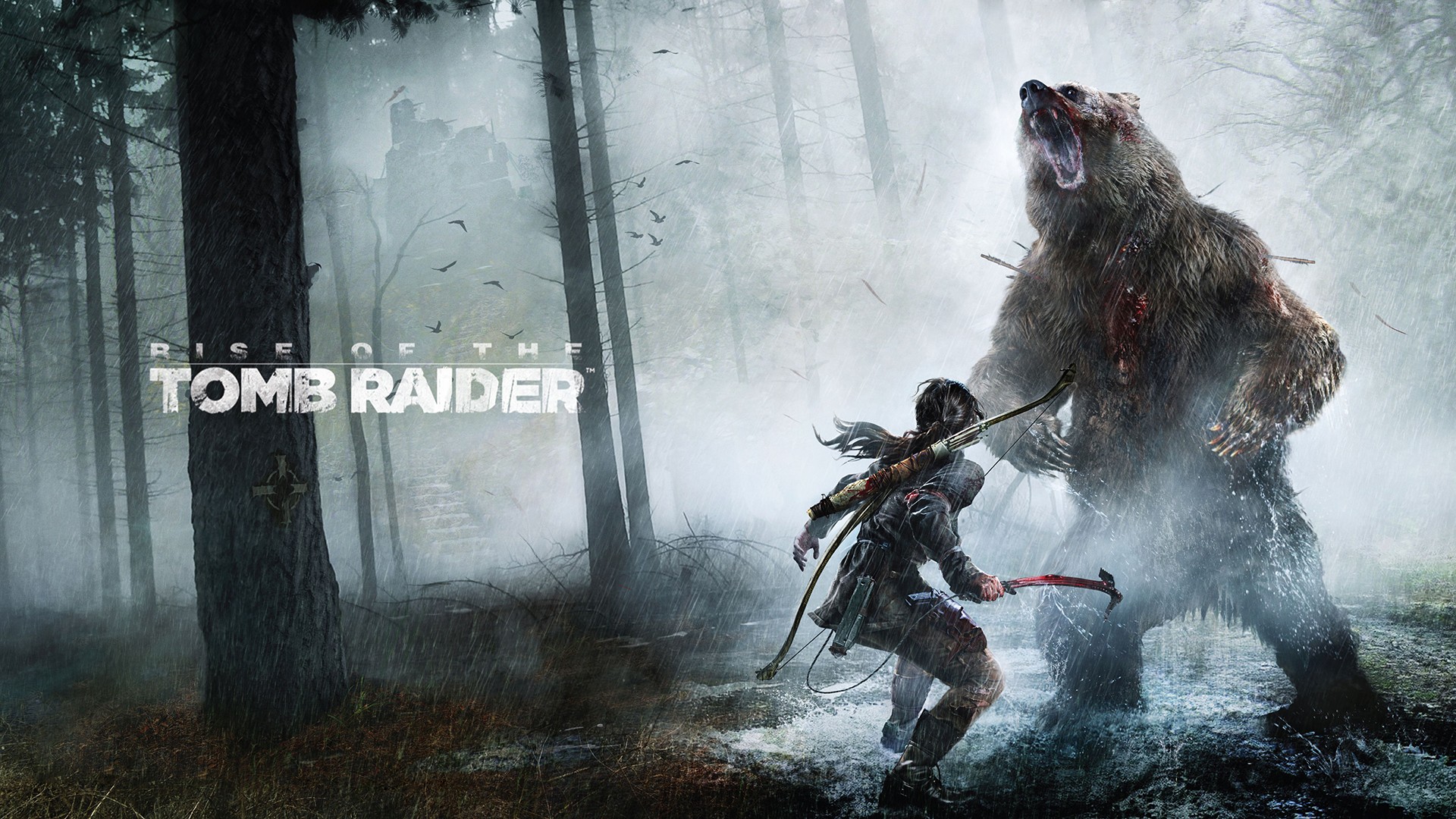rise of the tomb raider 1080p - Tomb Raider
