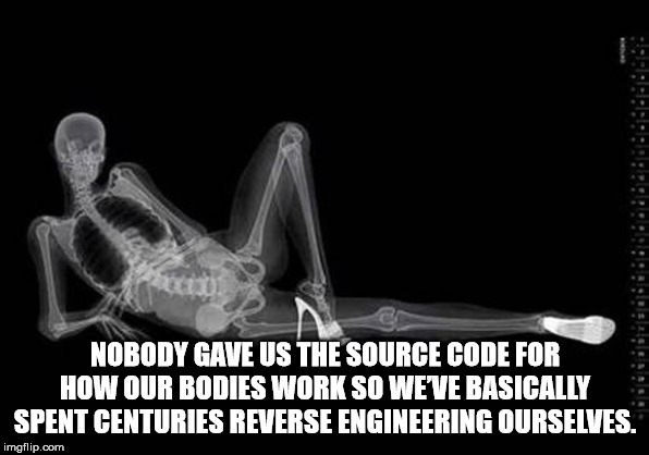 x ray - Nobody Gave Us The Source Code For How Our Bodies Work So We'Ve Basically Spent Centuries Reverse Engineering Ourselves. imgflip.com