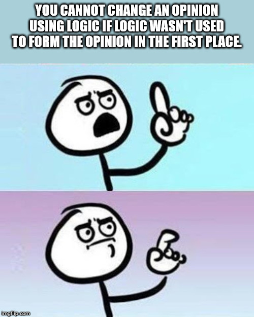 um meme - You Cannot Change An Opinion Using Logic If Logic Wasnt Used To Form The Opinion In The First Place. imgilip.com