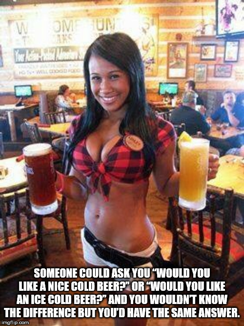 twin peaks girls - Someone Could Ask You Would You A Nice Cold Beer?" Or "Would You An Ice Cold Beer?" And You Wouldnt Know The Difference But You'D Have The Same Answer. imgflip.com
