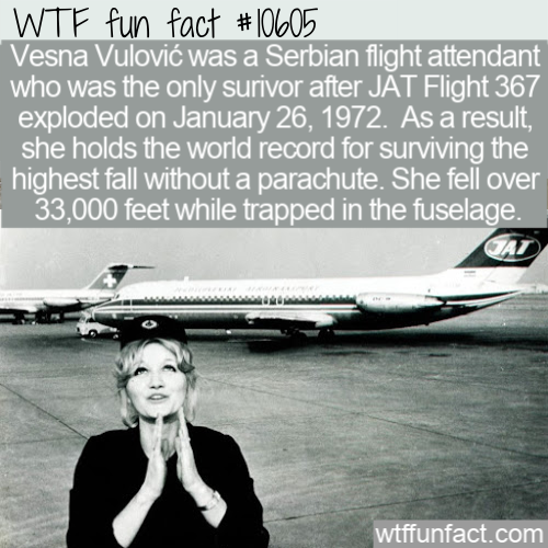 airline - Wtf fun fact Vesna Vulovi was a Serbian flight attendant who was the only surivor after Jat Flight 367 exploded on . As a result, she holds the world record for surviving the highest fall without a parachute. She fell over 33,000 feet while trap