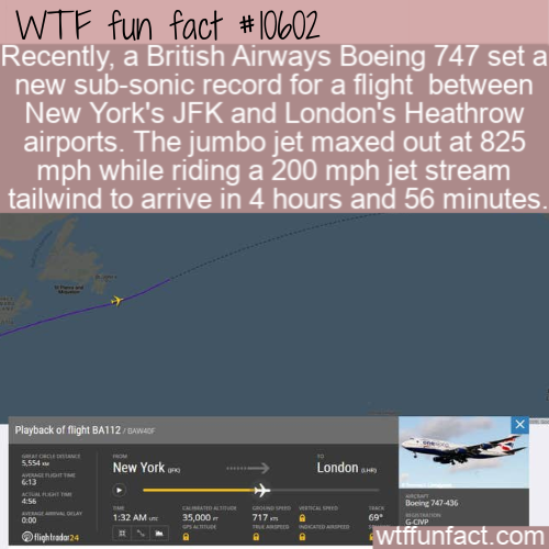 screenshot - Wtf fun fact Recently, a British Airways Boeing 747 set a new subsonic record for a flight between New York's Jfk and London's Heathrow airports. The jumbo jet maxed out at 825 mph while riding a 200 mph jet stream tailwind to arrive in 4 hou