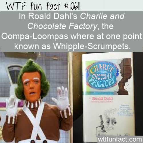 photo caption - Wtf fun fact #|06|| In Roald Dahl's Charlie and Chocolate Factory, the OompaLoompas where at one point known as WhippleScrumpets. Cherii Chocolte Antne Roald Dahl wtffunfact.com