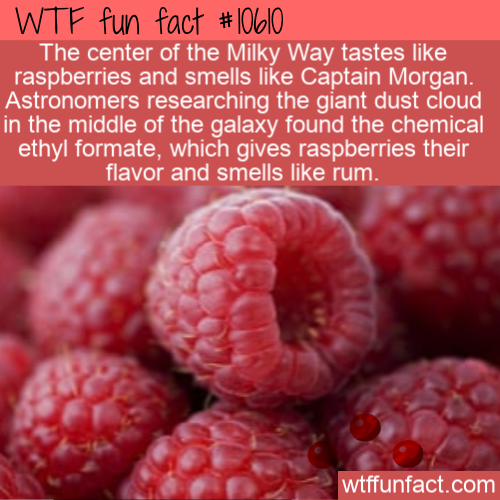 center of the milky way tastes like raspberries and smells like captain morgan astronomers researching the giant dust cloud in the middle of the galaxy found the chemical ethyl formate which gives raspberries their flavor and smells like rum - Wtf fun fac