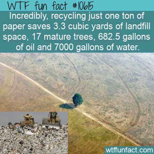 water resources - Wtf fun fact Incredibly, recycling just one ton of paper saves 3.3 cubic yards of landfill space, 17 mature trees, 682.5 gallons of oil and 7000 gallons of water. wtffunfact.com