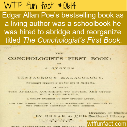 document - Wtf fun fact Edgar Allan Poe's bestselling book as a living author was a schoolbook he was hired to abridge and reorganize titled The Conchologist's First Book. The Conchologist'S First Book Or. A System Testaceous Malacology, Arranged erpressl