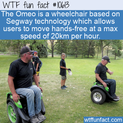 grass - Wtf fun fact The Omeo is a wheelchair based on Segway technology which allows users to move handsfree at a max speed of 20km per hour. wtffunfact.com