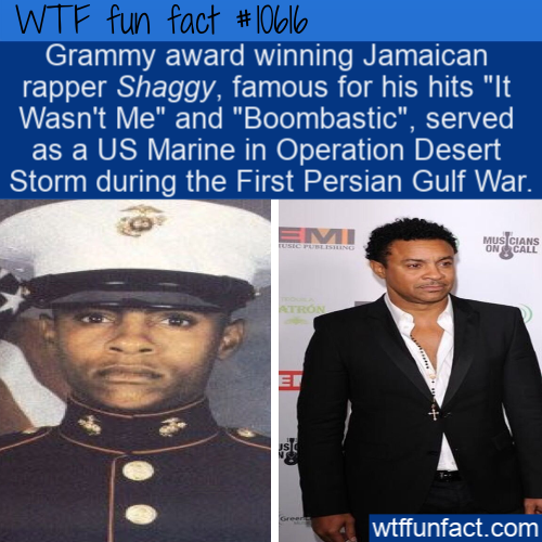 photo caption - Wtf fun fact Grammy award winning Jamaican rapper Shaggy, famous for his hits "It Wasn't Me" and "Boombastic", served as a Us Marine in Operation Desert Storm during the First Persian Gulf War. wtffunfact.com